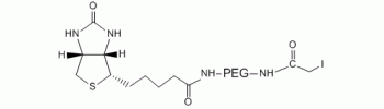 Iodoacetyl PEG Biotin, IA-PEG-Biotin           Cat. No. PG2-BNIA-600     600 Da    100 mg