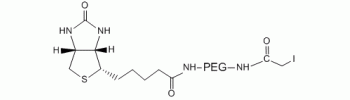Iodoacetyl PEG Biotin, IA-PEG-Biotin           Cat. No. PG2-BNIA-1k     1000 Da    100 mg