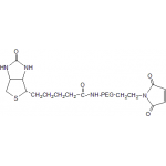 Biotin PEG Maleimide           Cat. No. PG2-BNML-2k     2000 Da    100 mg