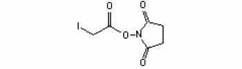 Succinimidyl iodoacetate (SIA)           Cat. No. SIA01         25 mg