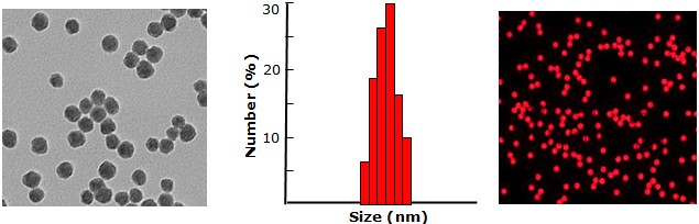 Red colored Silica nanoparticles           Cat. No. Si50-R-1     50 nm    0.5 mL