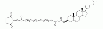 Cholesterol PEG NHS, CLS-PEG-NHS           Cat. No. PG2-CSNS-10k     10000 Da    50 mg