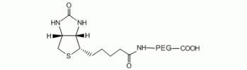 Biotin PEG acid, Biotin-PEG-COOH           Cat. No. PG2-BNCA-600     600 Da    100 mg