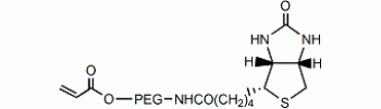 Acrylate PEG Biotin           Cat. No. PG2-ARBN-2k     2000 Da    100 mg