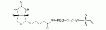 Vinylsulfone PEG Biotin, VS-PEG-Biotin           Cat. No. PG2-BNVS-1k     1000 Da    100 mg