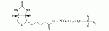 Vinylsulfone PEG Biotin, VS-PEG-Biotin           Cat. No. PG2-BNVS-2k     2000 Da    100 mg