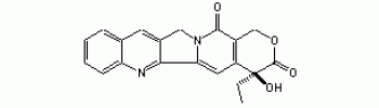 Camptothecin           Cat. No. CP101         10 mg