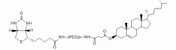 Cholesterol PEG Biotin, CLS-PEG-Biotin           Cat. No. PG2-BNCS-20k     20000 Da    20 mg