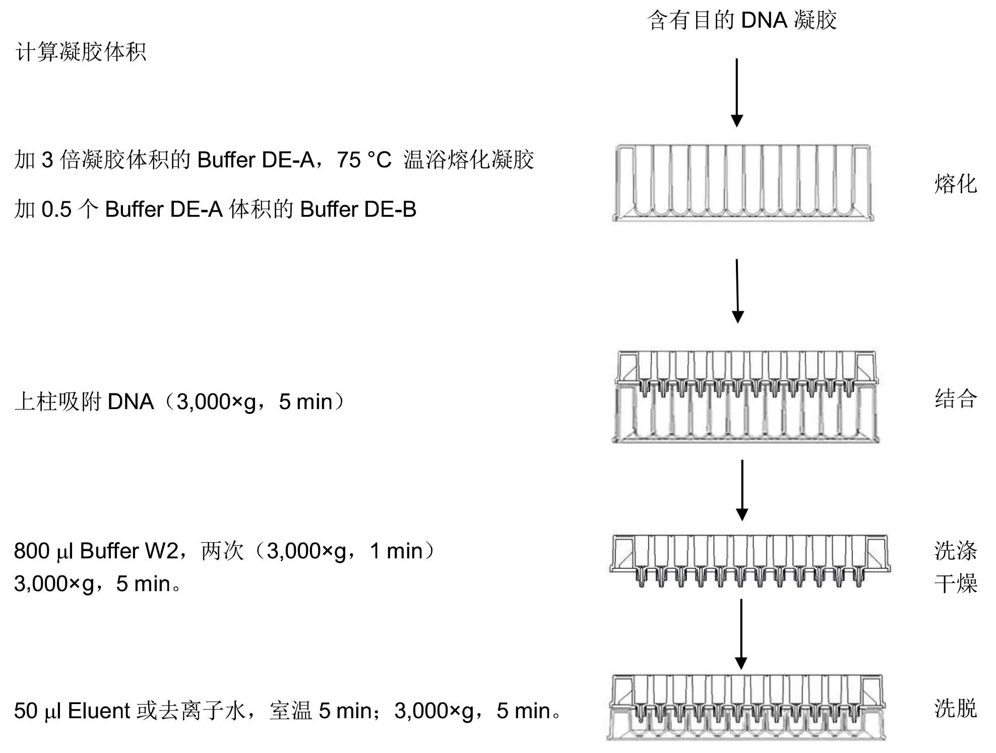 UE-96DNA凝胶回收试剂盒 货号:               UE-96-GX-4/UE-96-GX-24  规格:               4T/24T