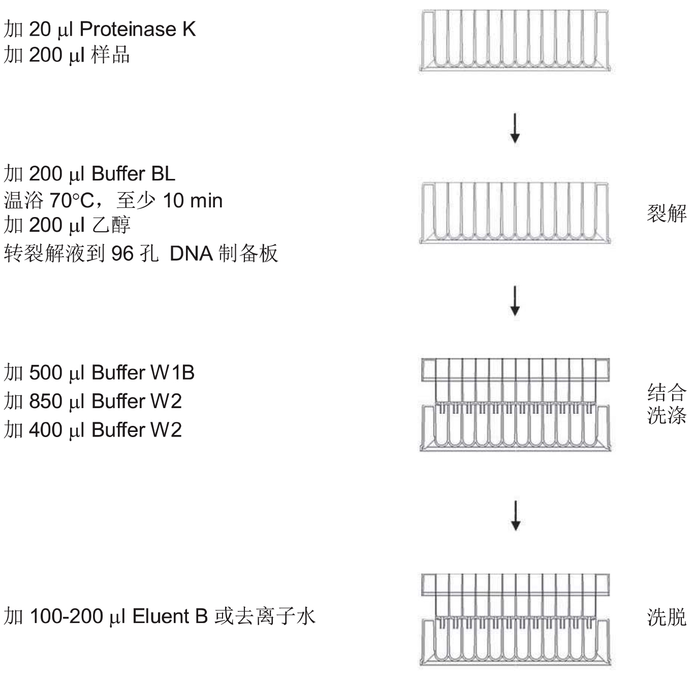 UE-96血基因组DNA试剂盒 货号:               UE-96-BL-GDNA-4/UE-96-BL-GDNA-12  规格:               4T/12T