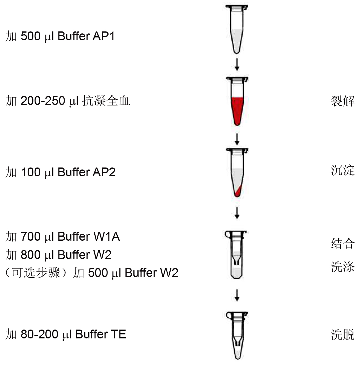 UE血基因组DNA小量制备试剂盒 货号:               UE-MN-BL-GDNA-50/UE-MN-BL-GDNA-250  规格:               50T/250T