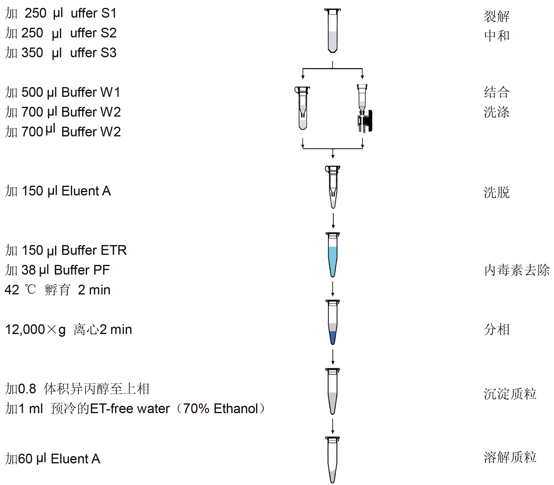 UE无内毒素质粒小量试剂盒 货号:               UE-MN-EP-50/UE-MN-EP-150  规格:               50T/150T