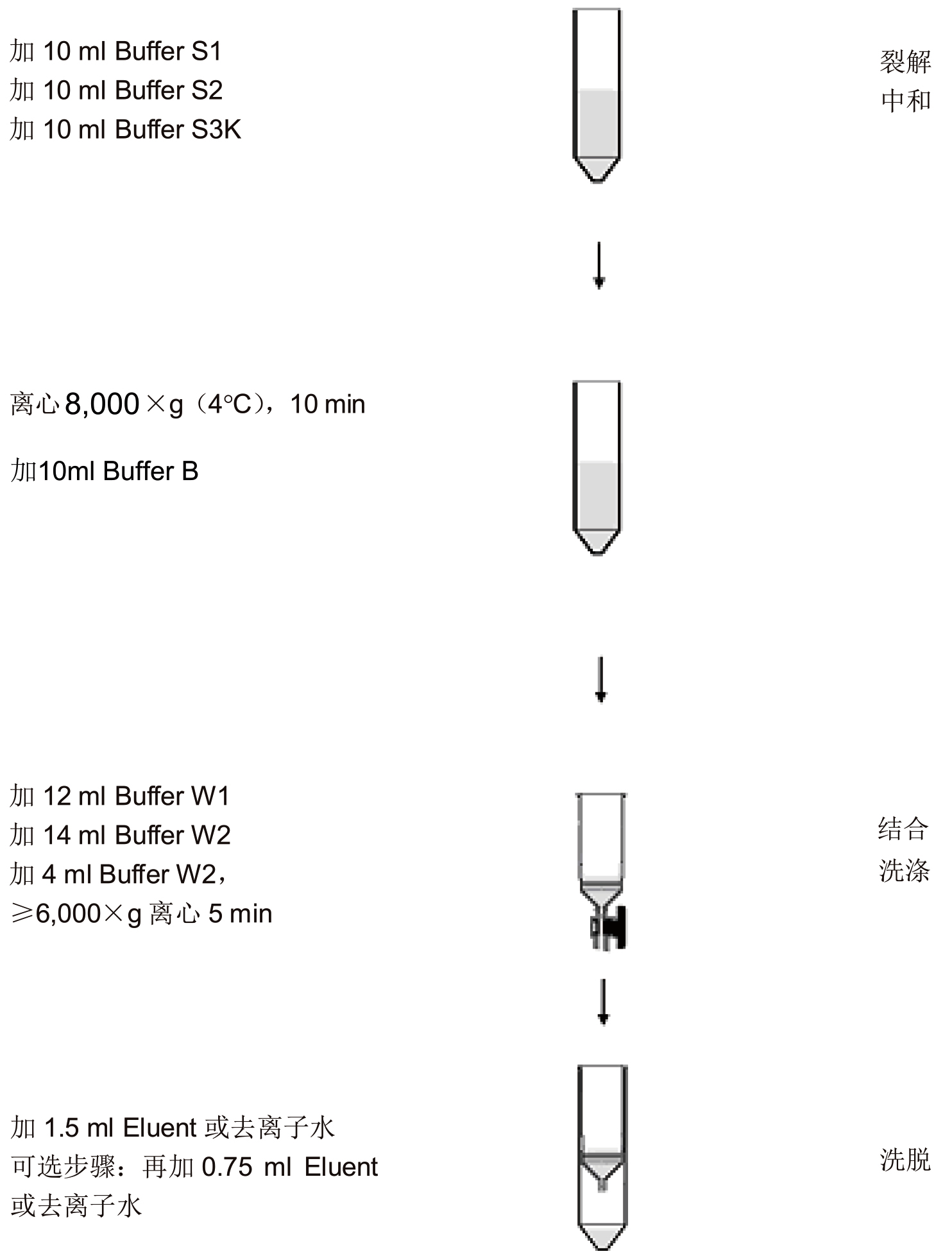 UE质粒大量制备试剂盒 货号:               UE-MX-P-10/UE-MX-P-25  规格:               10T/25T