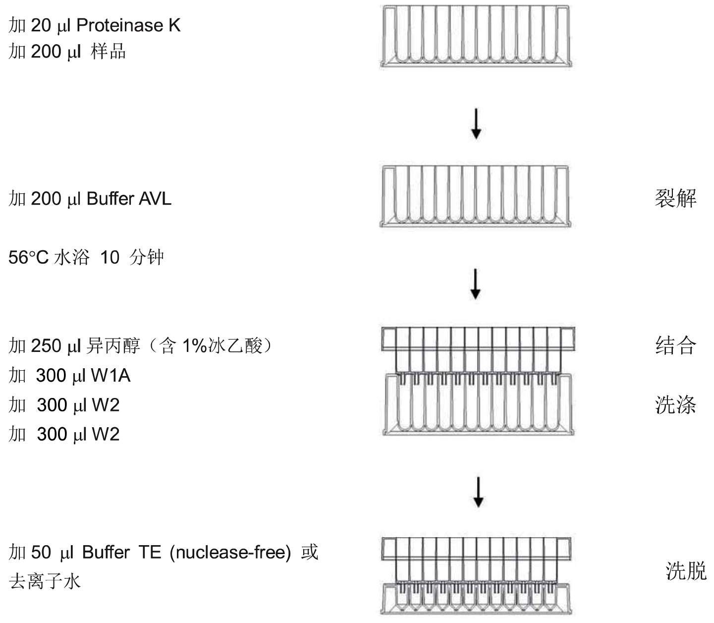 UE-96体液病毒DNA/RNA纯化试剂盒 货号:               UE-96-BF-VNA-4/UE-96-BF-VNA-12  规格:               4T/12T