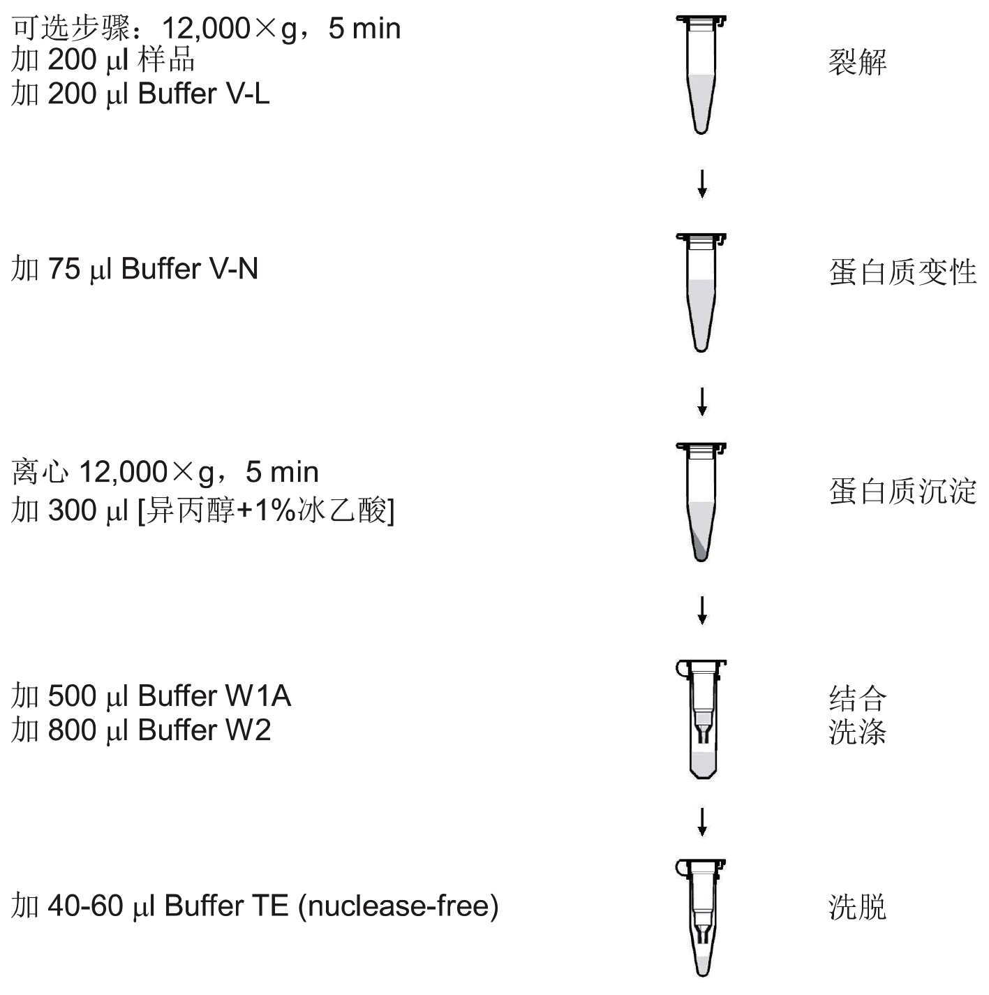 UE体液病毒DNA/RNA小量制备试剂盒 货号:               UE-MN-BF-VNA-50/UE-MN-BF-VNA-250  规格:               50T/250T