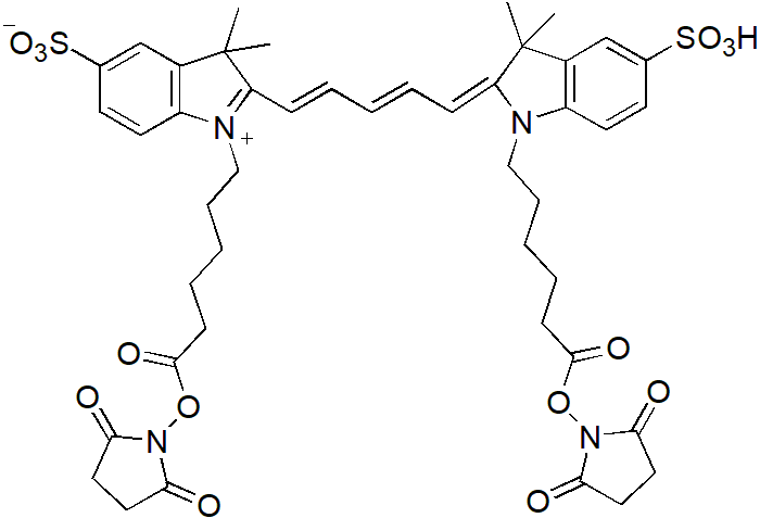 Sulfo-Cy5 bis-SE（Sulfo-Cy5双琥珀酰亚胺酯） 货号:               C5089  规格:               1mg