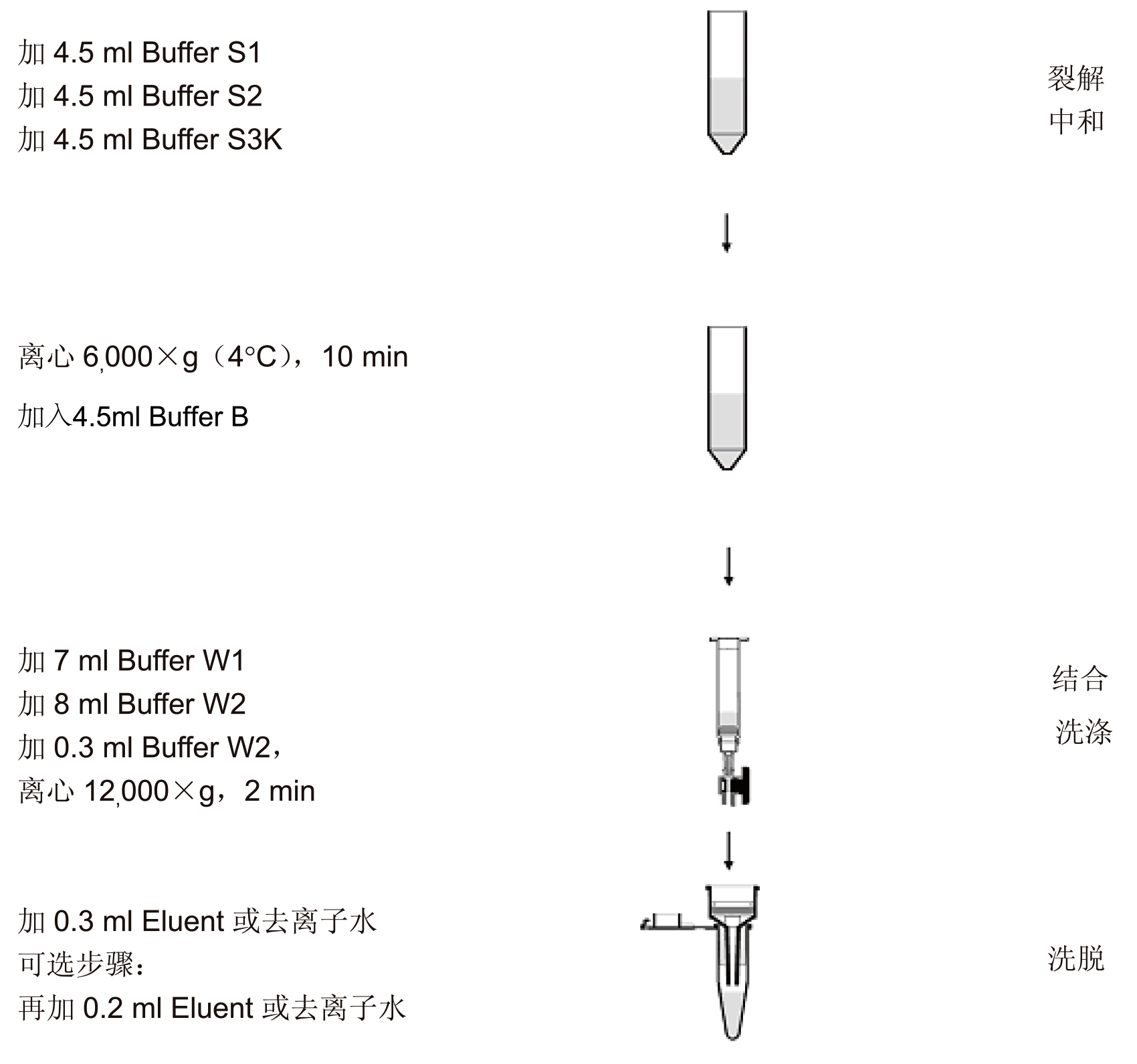 UE质粒中量制备试剂盒 货号:               UE-MD-P-10/UE-MD-P-25  规格:               10T/25T