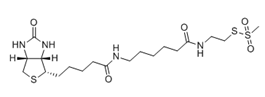 MTSEA Biotin-X（MTSEA生物素-X） 货号:               M5036  规格:               10 mg
