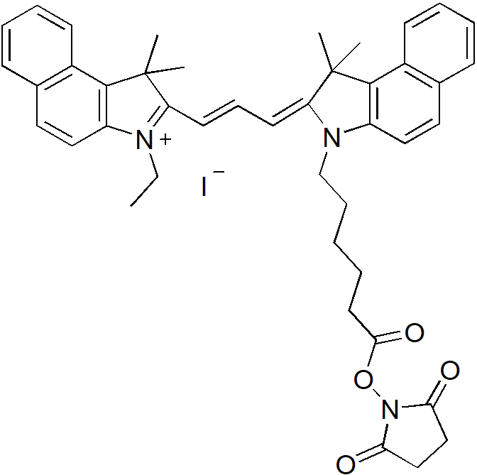 Cy5.5-E SE（Cy5.5-E 琥珀酰亚胺酯） 货号:               C5076  规格:               1mg