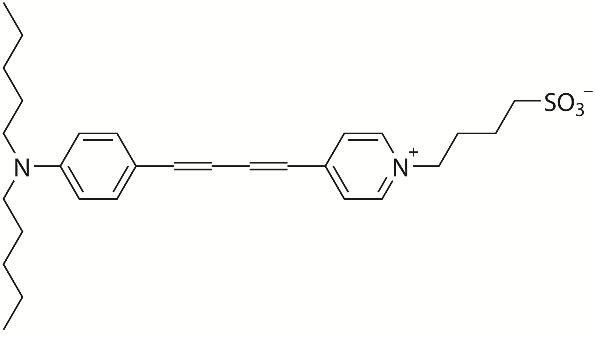 RH421膜电位荧光探针 货号:               R4016  规格:               5 mg
