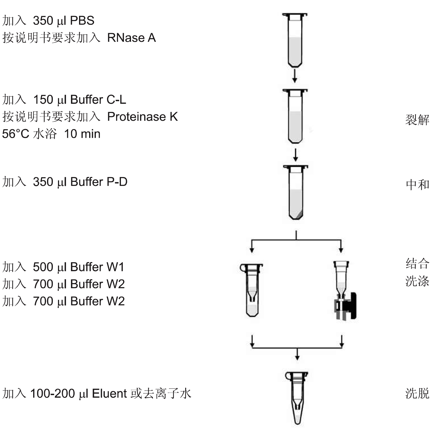 UE基因组DNA小量制备试剂盒 货号:               UE-MN-MS-GDNA-50/UE-MN-MS-GDNA-250  规格:               50T/250T