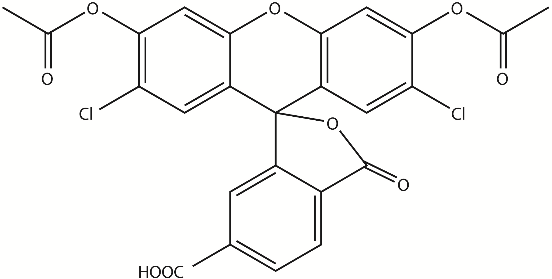 6-CDCFDA（6-羧基-2