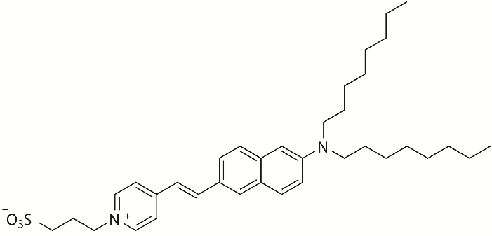 Di-8-ANEPPS膜电位荧光探针 货号:               D4009  规格:               5 mg