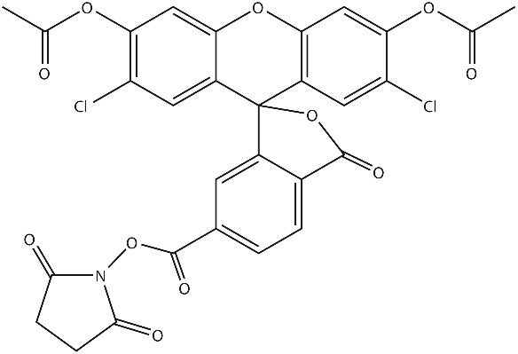 6-CDCFDA SE（6-羧基-2