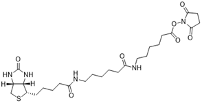 Biotin-XX SE（生物素-XX 琥珀酰亚胺酯） 货号:               B5063  规格:               10 mg