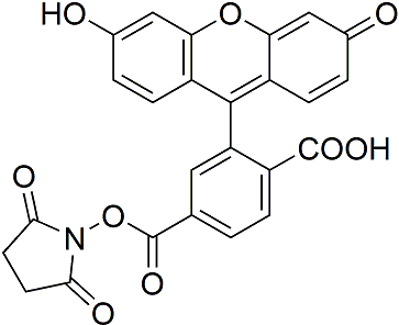 6-FAM SE（6-羧基荧光素琥珀酰亚胺酯） 货号:               F5056  规格:               5 mg