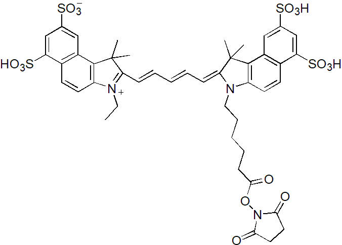 Sulfo-Cy5.5-E SE（Sulfo-Cy5.5-E 琥珀酰亚胺酯） 货号:               C5072  规格:               1mg