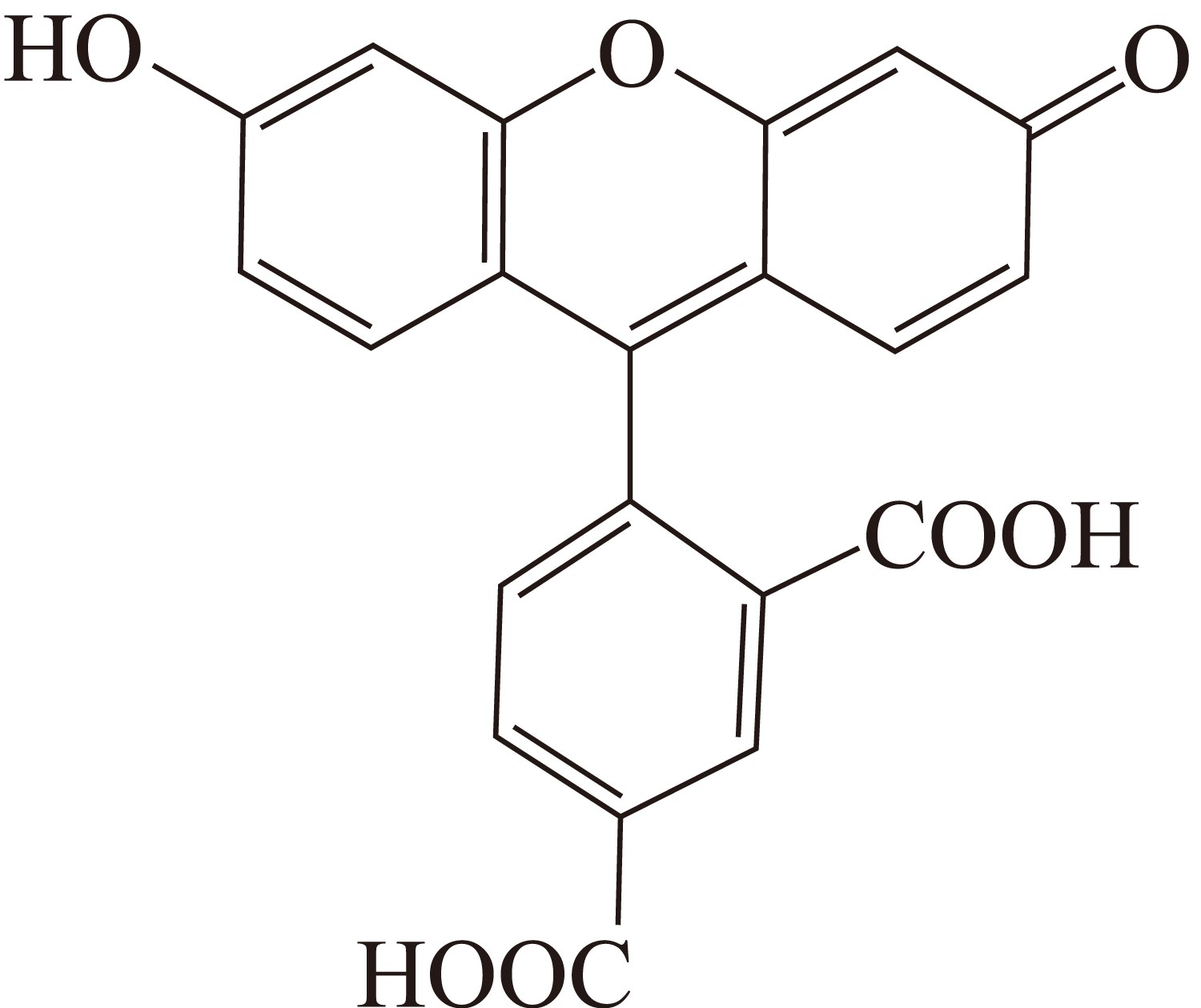 5-FAM（5-羧基荧光素） 货号:               F5008  规格:               50 mg