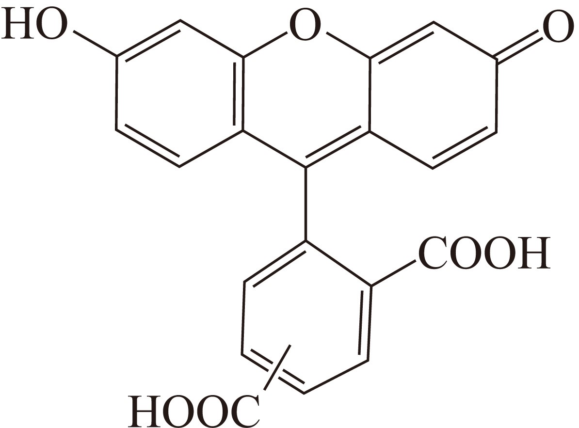 5-FAM（5-羧基荧光素） 货号:               F5008  规格:               50 mg