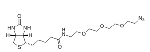 Biotin Azide（生物素叠氮化物） 货号:               B5062  规格:               1 mg