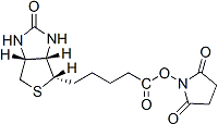 Biotin SE（生物素琥珀酰亚胺酯） 货号:               B5024  规格:               50 mg