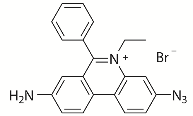 EMA（溴化乙锭单叠氮溴） 货号:               E4035  规格:               5 mg