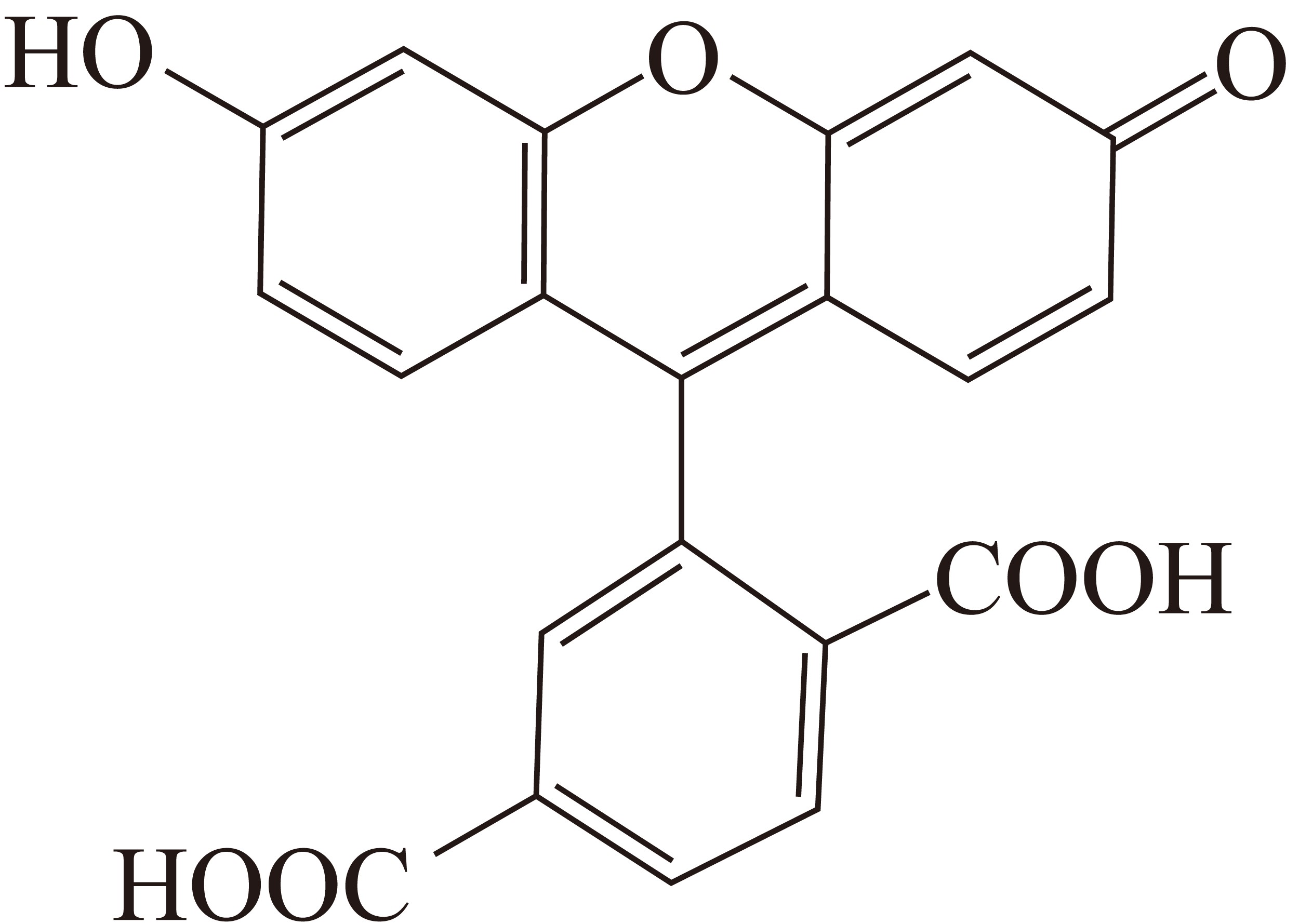 6-FAM（6-羧基荧光素） 货号:               F5014  规格:               20 mg