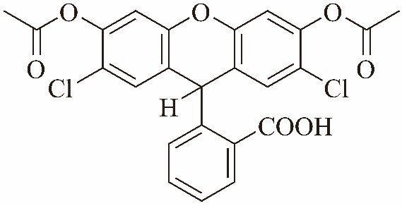 H2DCFDA（DCFH-DA）活性氧荧光探针 货号:               D1002  规格:               50 mg