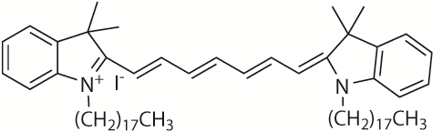 DiR（细胞膜近红外荧光探针） 货号:               D4006  规格:               5 mg