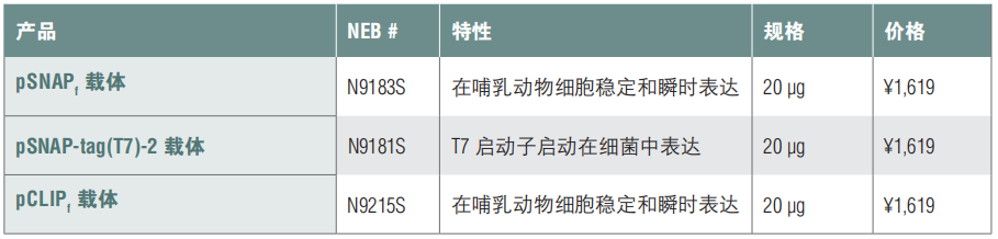 pSNAPf 载体            货   号                  #N9183S