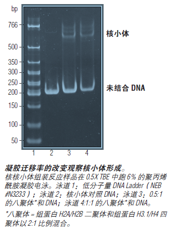 EpiMark 核小体组装试剂盒               货   号                  #E5350S