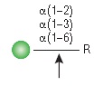 α1-2,3,6 甘露糖苷酶                货   号                  #P0768S