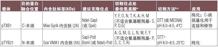 pTXB1 载体            货   号                  #N6707S