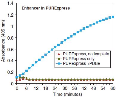 PURExpress 二硫键增强剂            货   号                  #E6820S