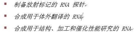 Hi-T7 RNA 聚合酶                货   号                  #M0658S
