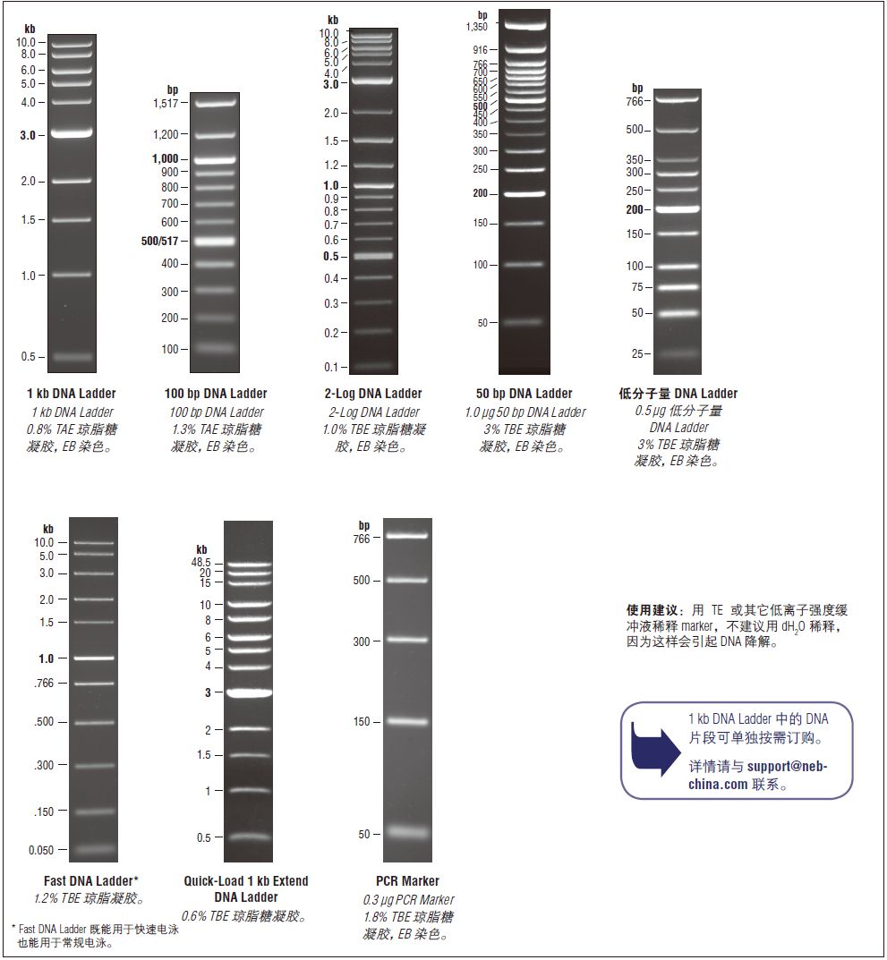 1 kb DNA Ladder            货   号                  #N3232L