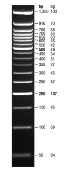 Quick-Load 紫色 50 bp DNA Ladder            货   号                  #N0556S