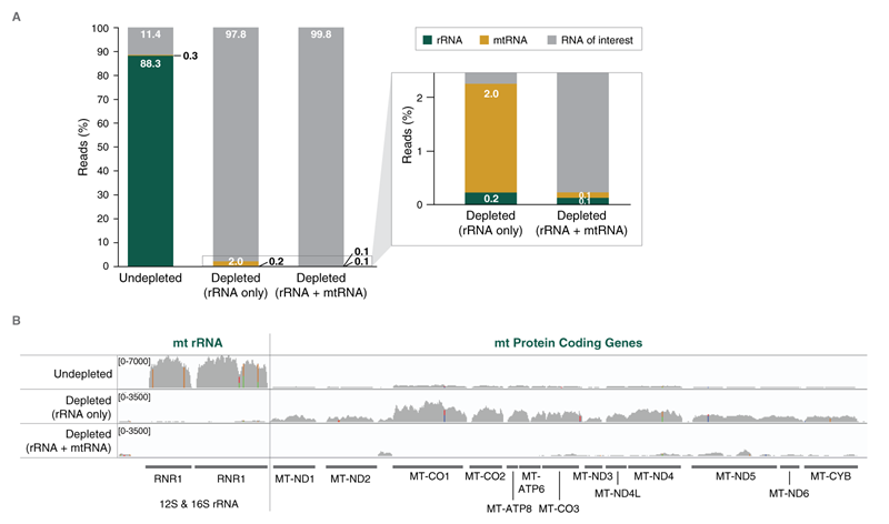 NEBNext®RNA 去除核心试剂 - 含 RNA 纯化磁珠            货   号                  #E7870L