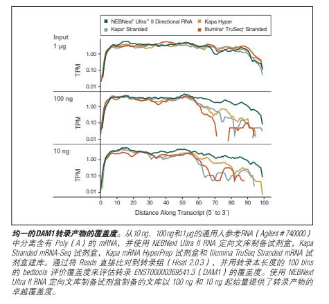 NEBNext Ultra II RNA 文库制备试剂盒 - 含纯化磁珠            货   号                  #E7775L