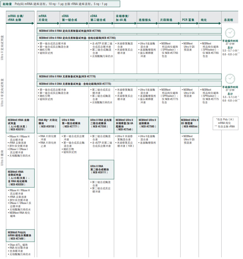 NEBNext Ultra II RNA 文库制备试剂盒 - 含纯化磁珠            货   号                  #E7775L